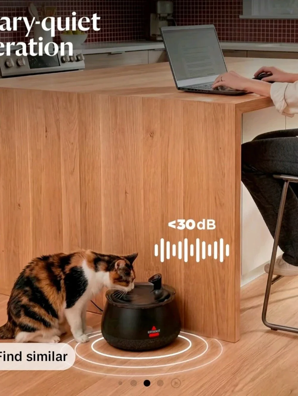 Bissell Black Automatic Cat Water Fountain
